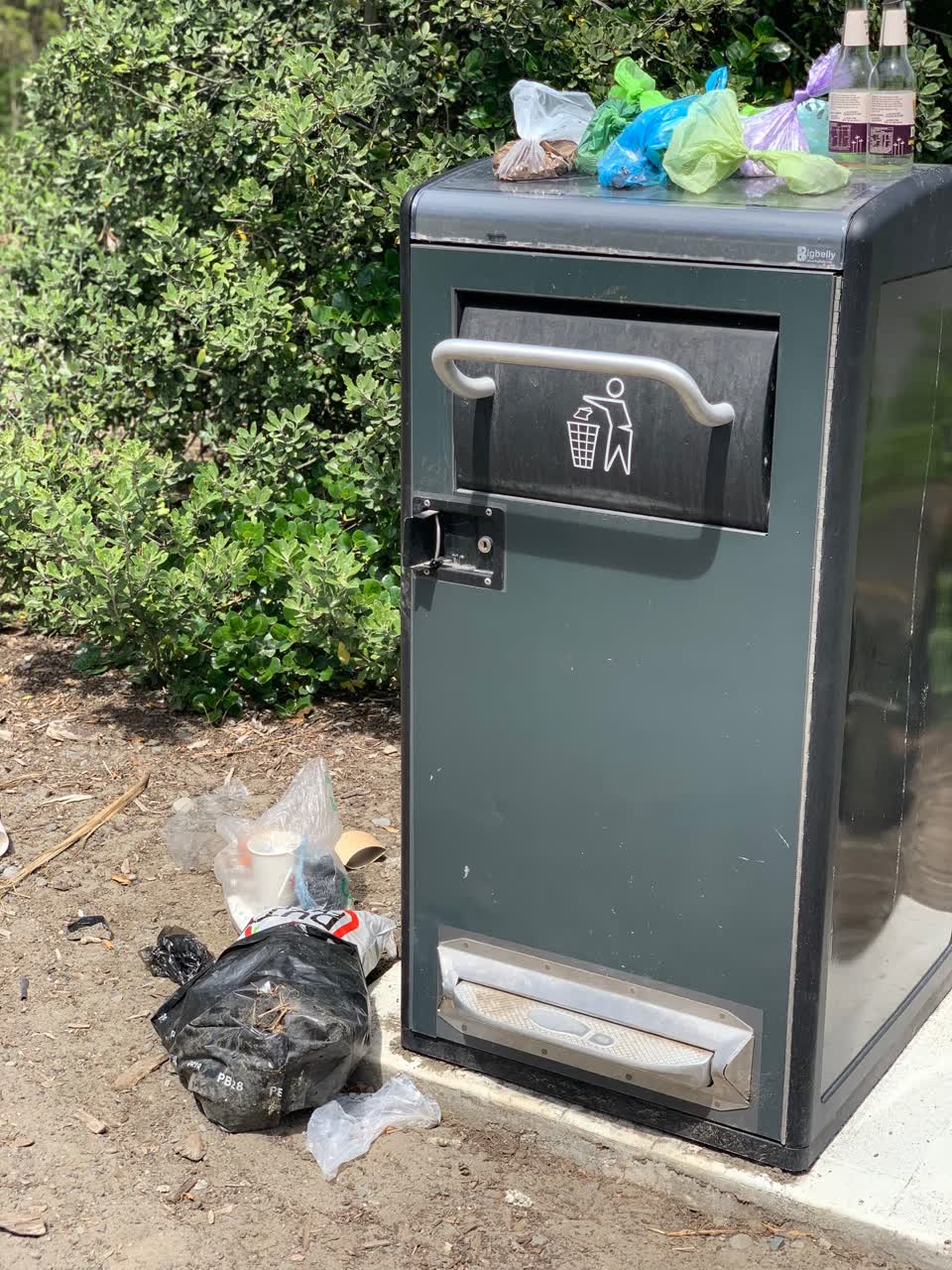 The photograph attached to this rubbish/recycling report