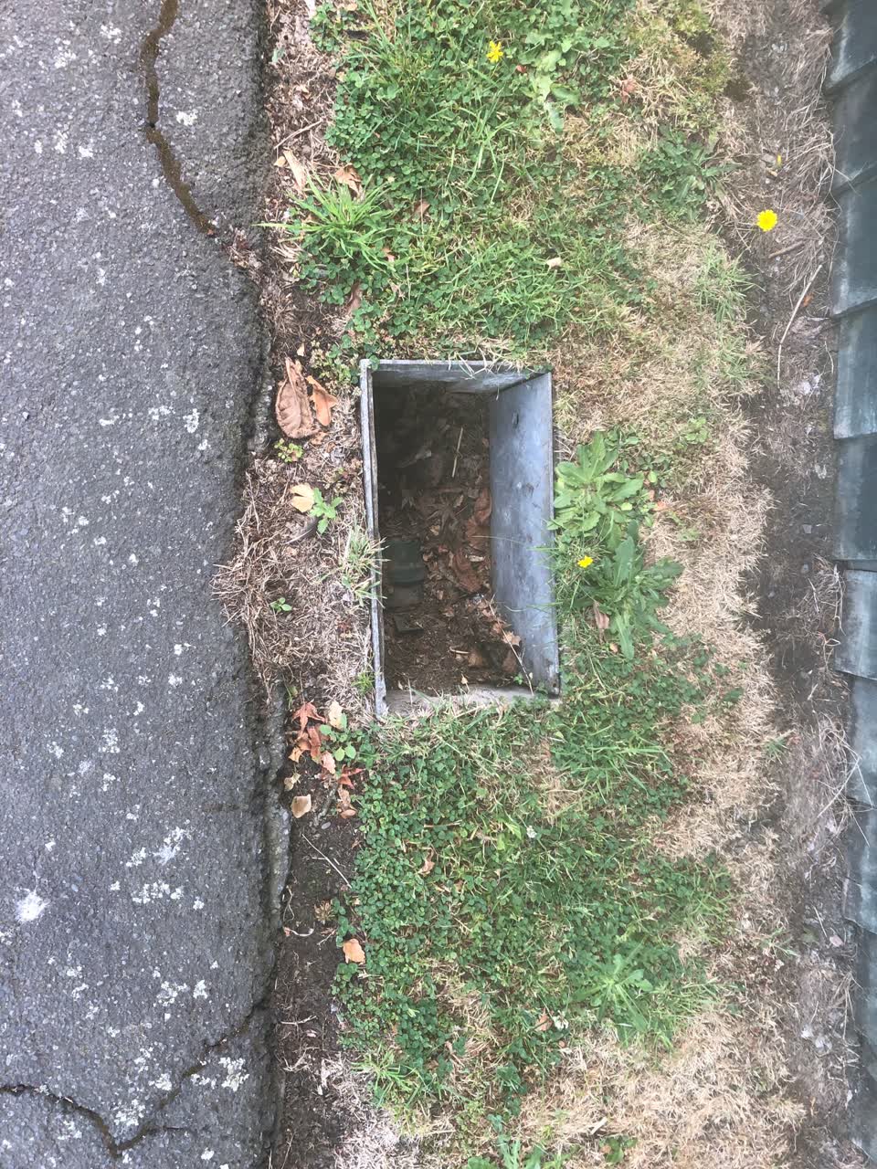 The photograph attached to this water supply report