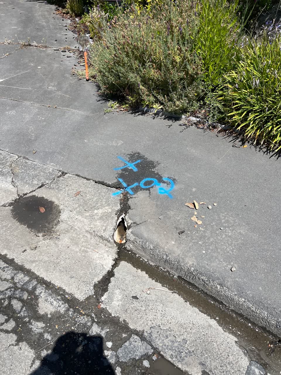 The photograph attached to this wastewater/stormwater report