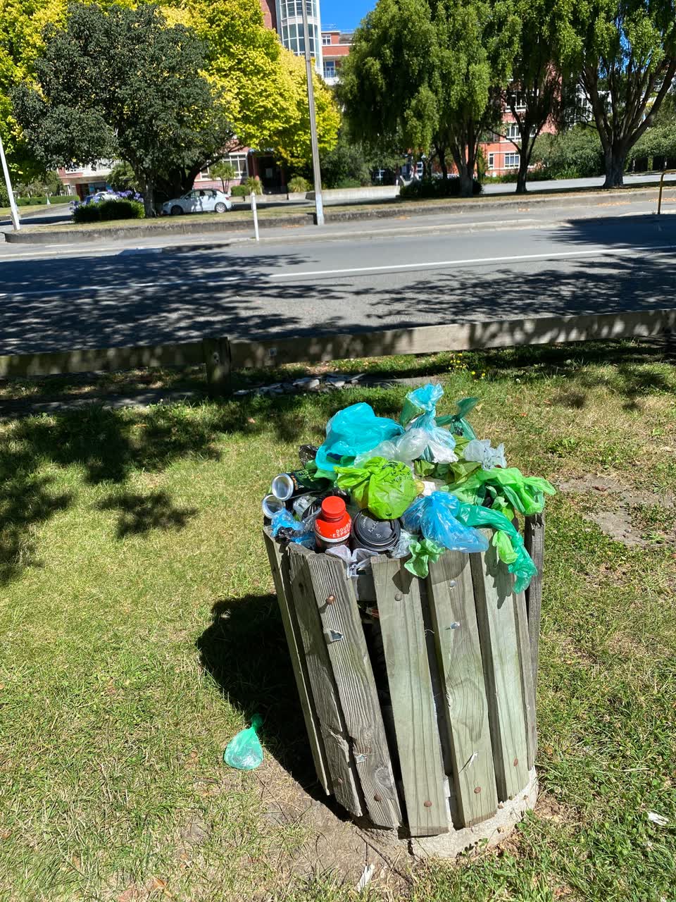 The photograph attached to this parks report