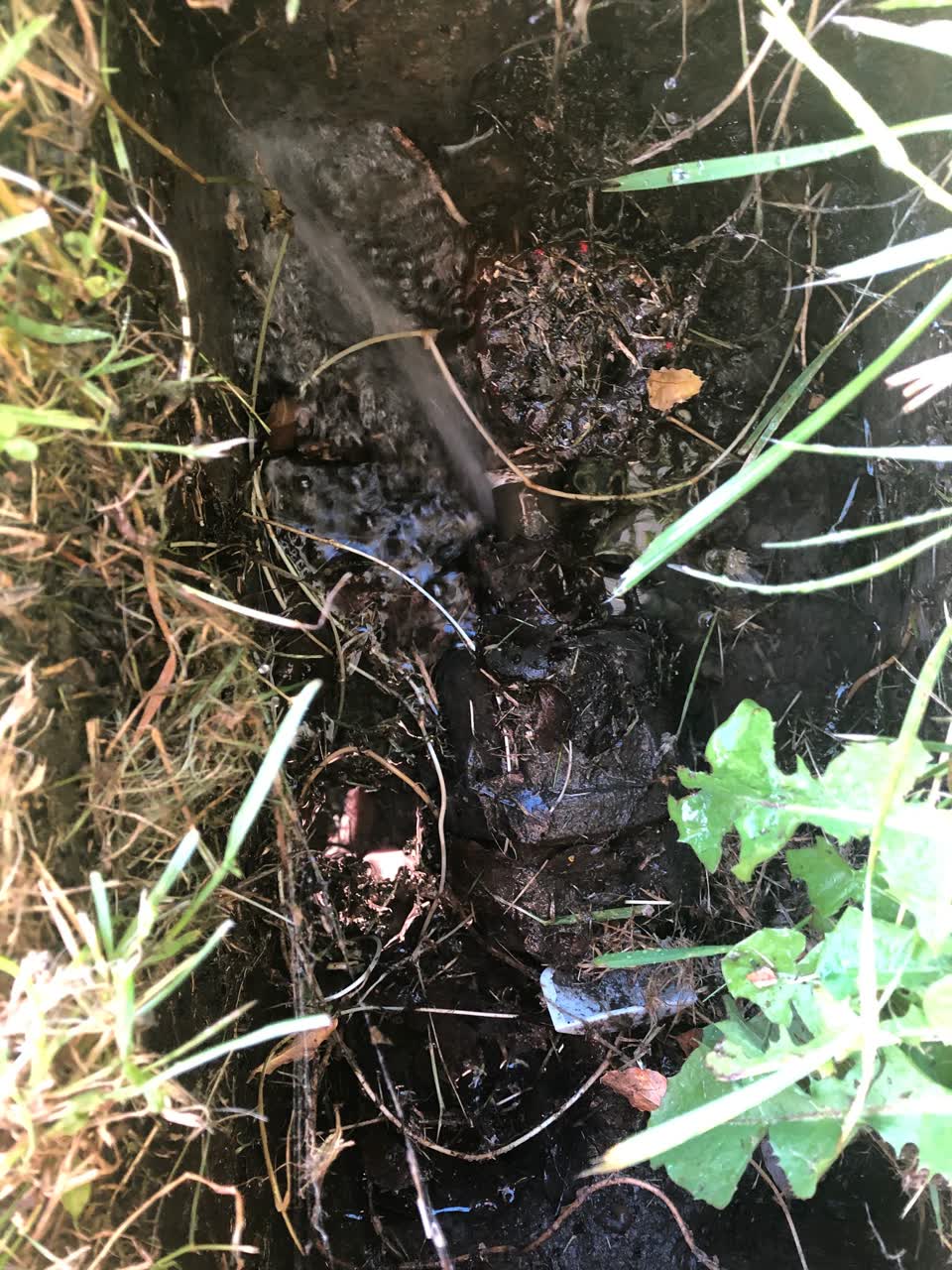 The photograph attached to this water leak report