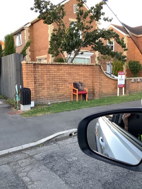 Rubbish/Recycling, a report photo