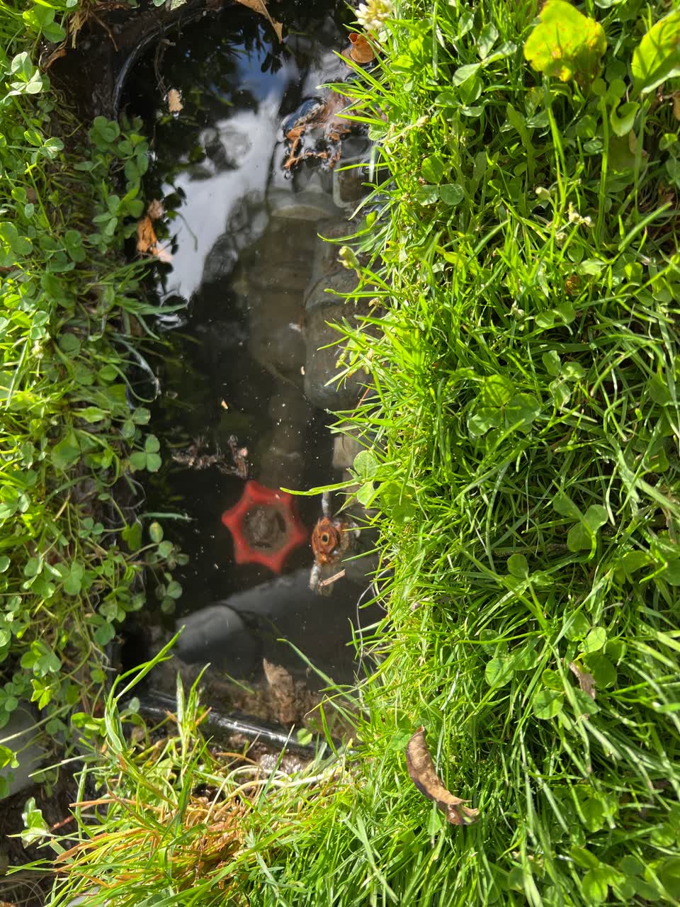 The photograph attached to this water leak report