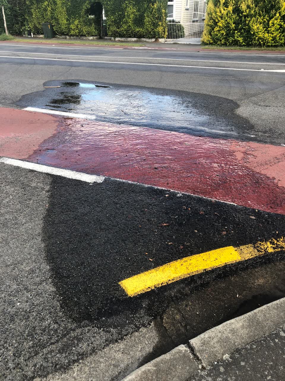 The photograph attached to this water leak report