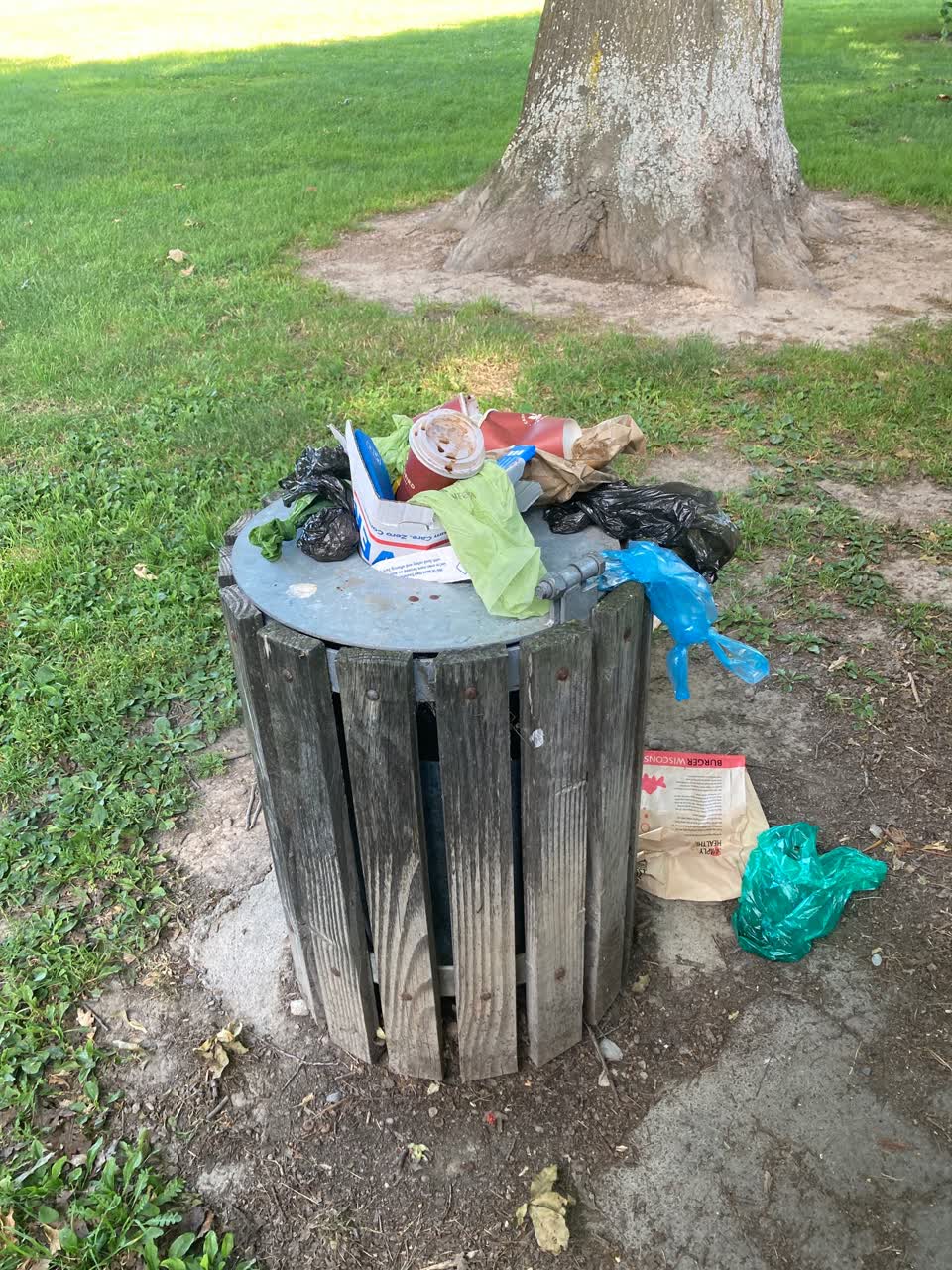 The photograph attached to this rubbish/recycling report