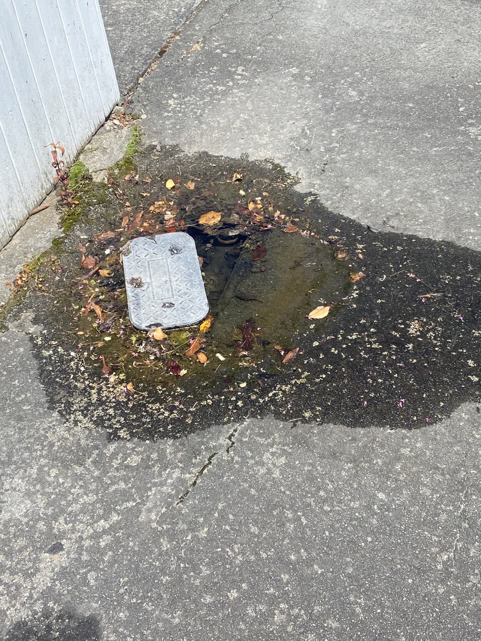 The photograph attached to this water leak report