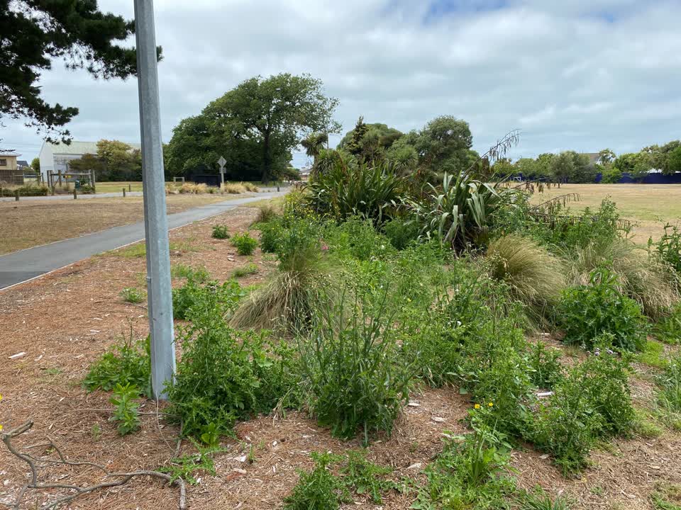 The photograph attached to this parks report