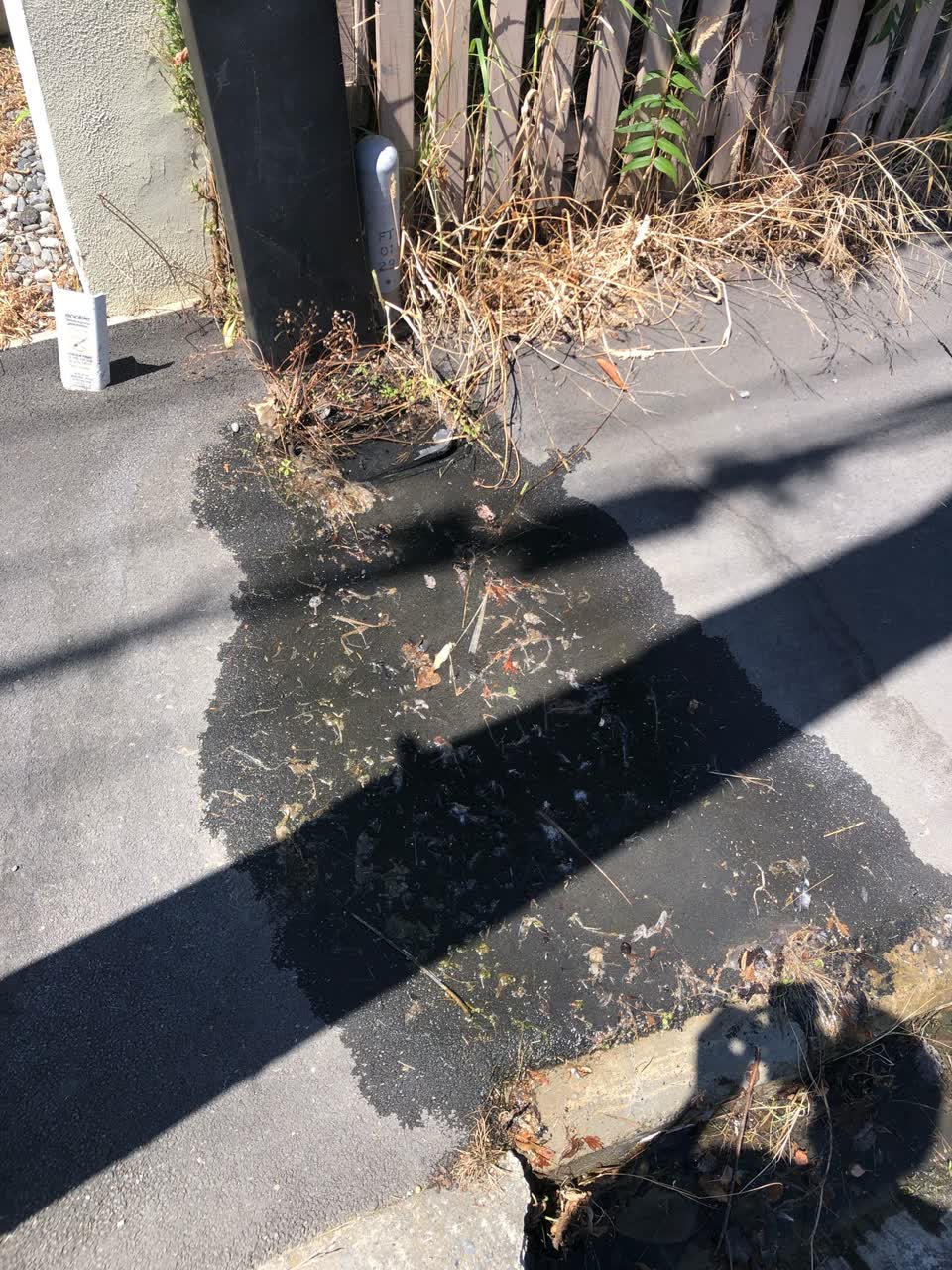 The photograph attached to this water leak report