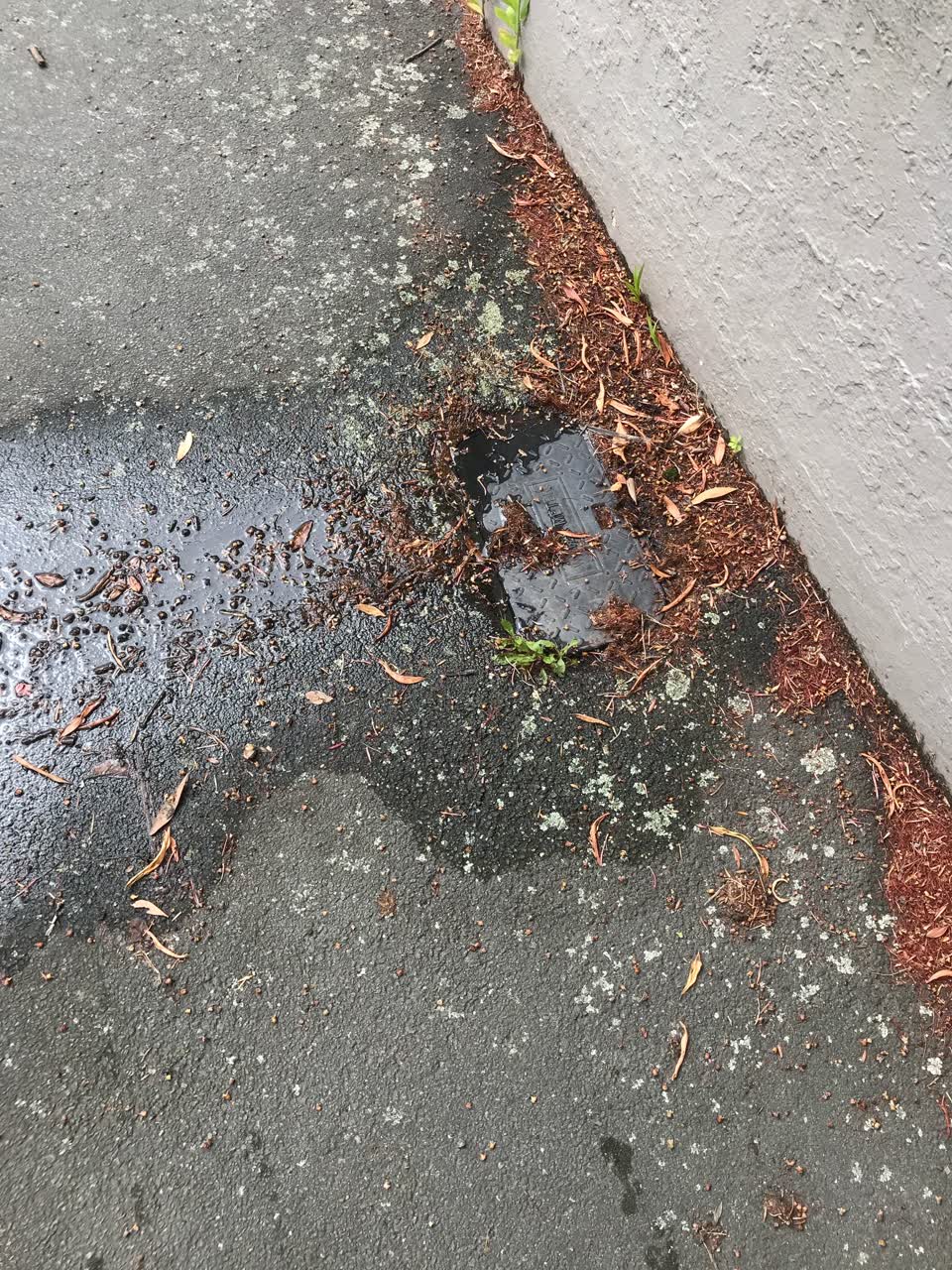 The photograph attached to this wastewater/stormwater report