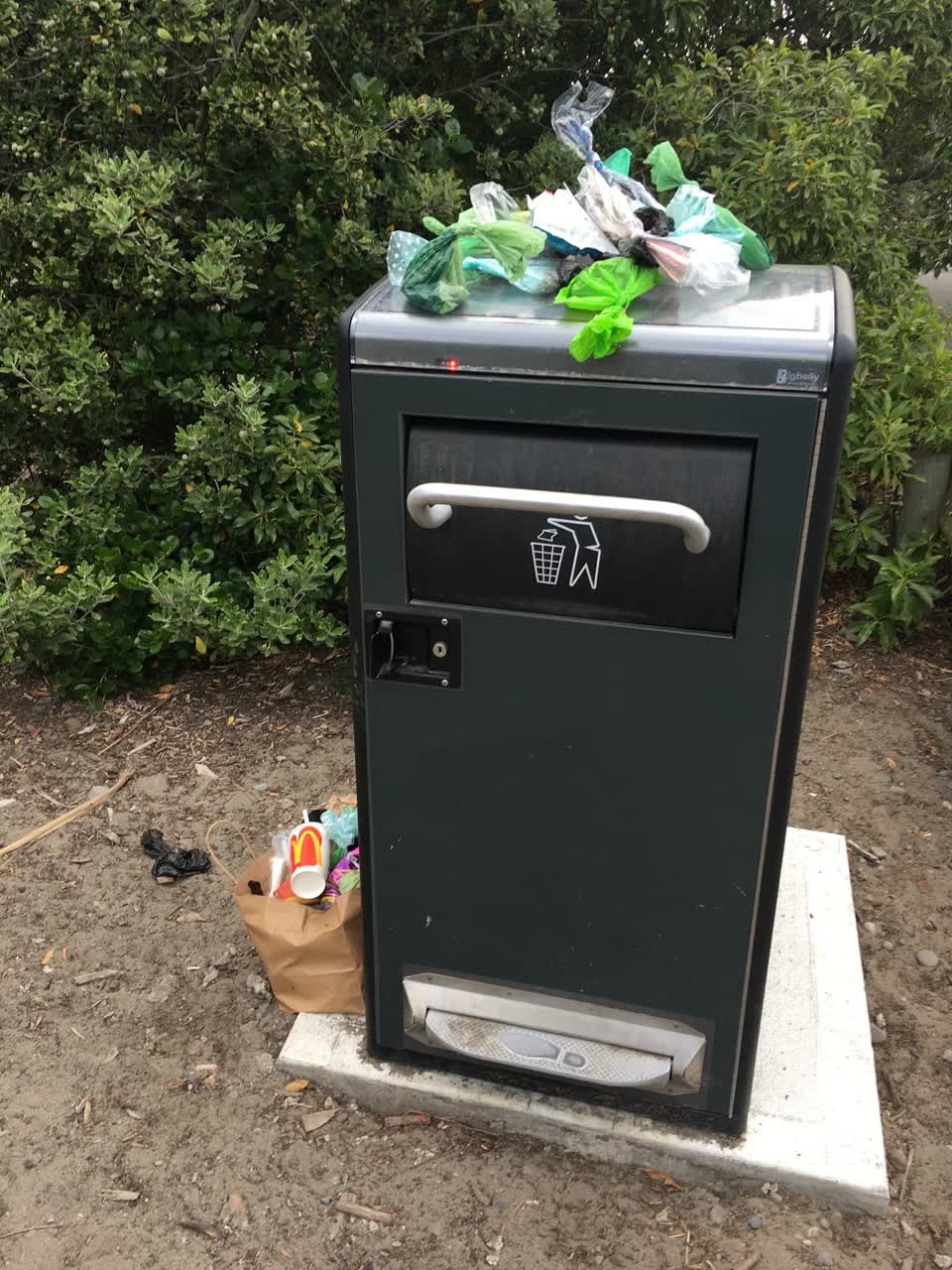 The photograph attached to this rubbish/recycling report