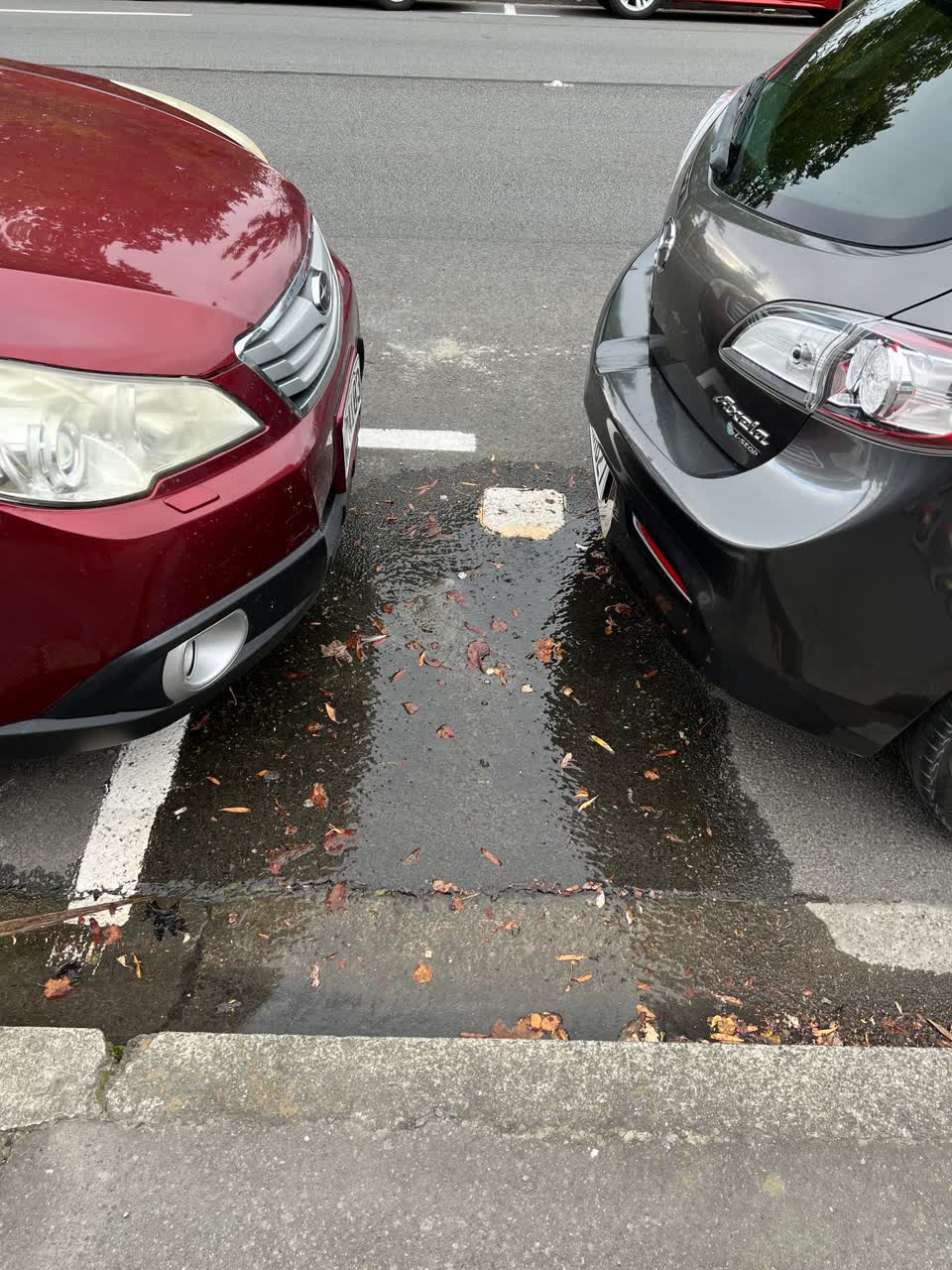 The photograph attached to this water leak report