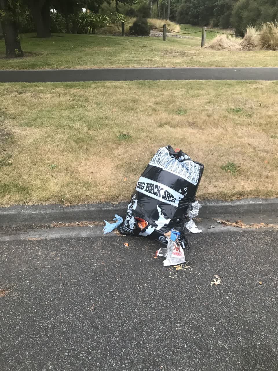 The photograph attached to this rubbish/recycling report
