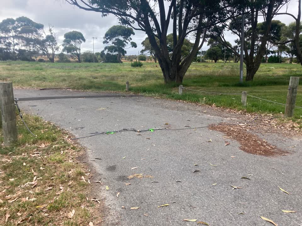 The photograph attached to this parks report