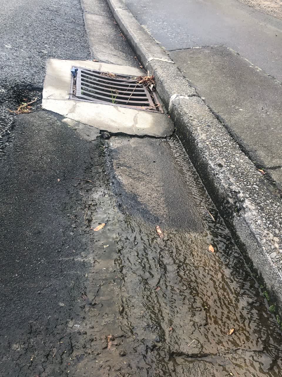 The photograph attached to this water leak report