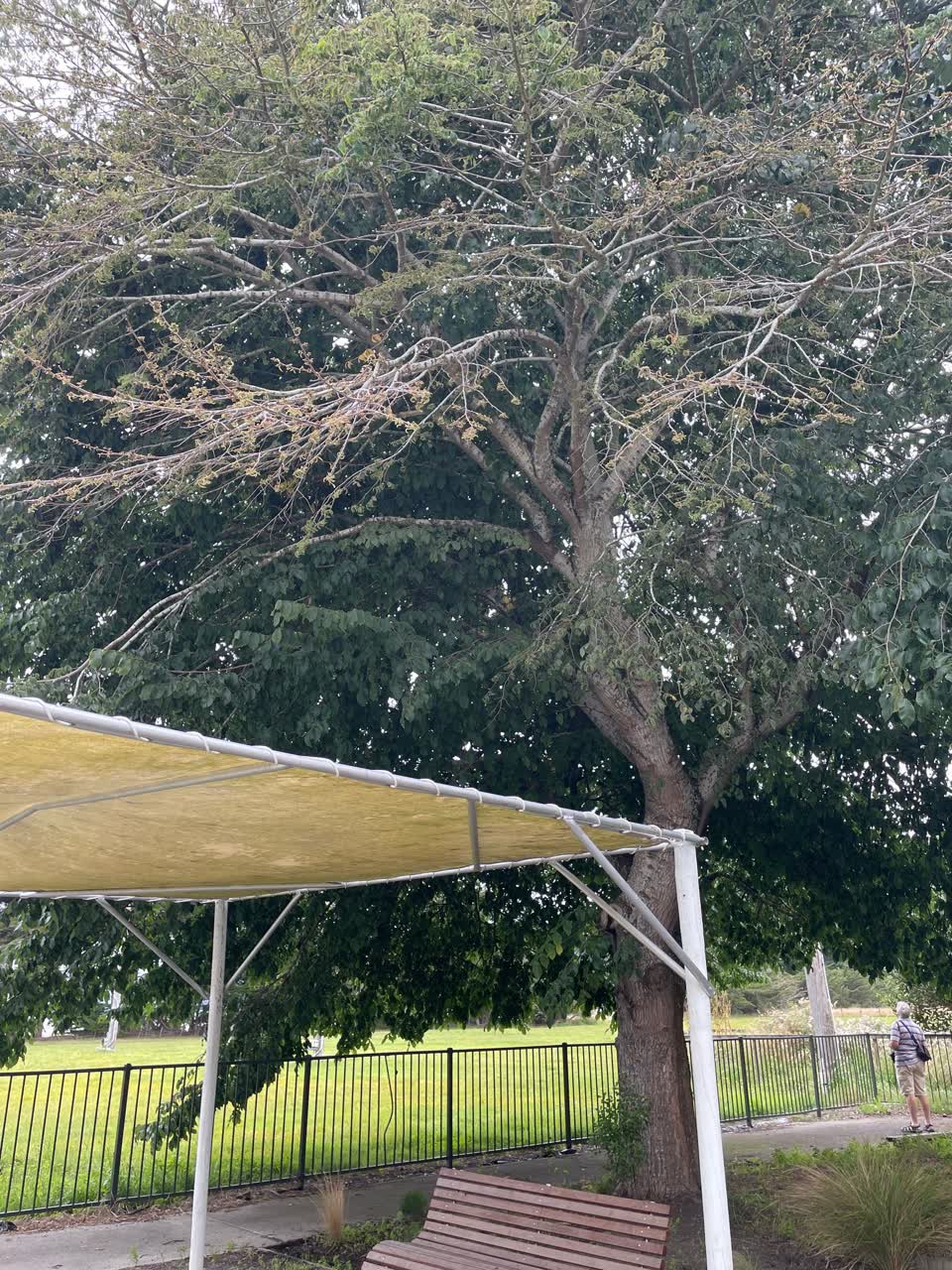 The photograph attached to this parks report