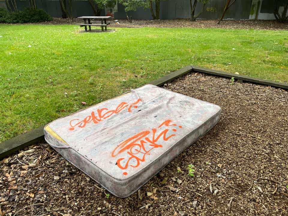 The photograph attached to this rubbish/recycling report