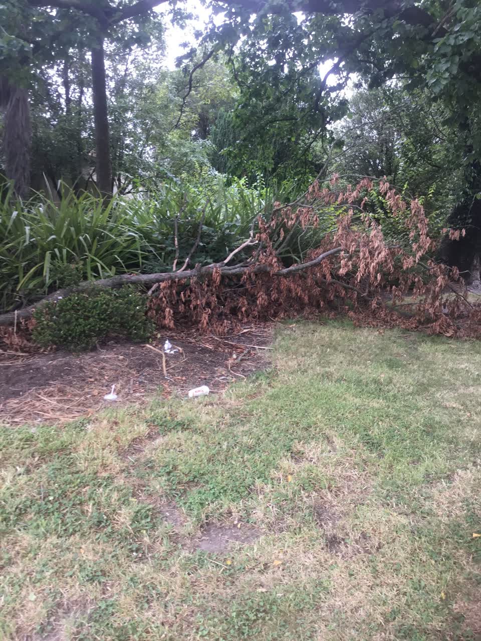 The photograph attached to this parks report