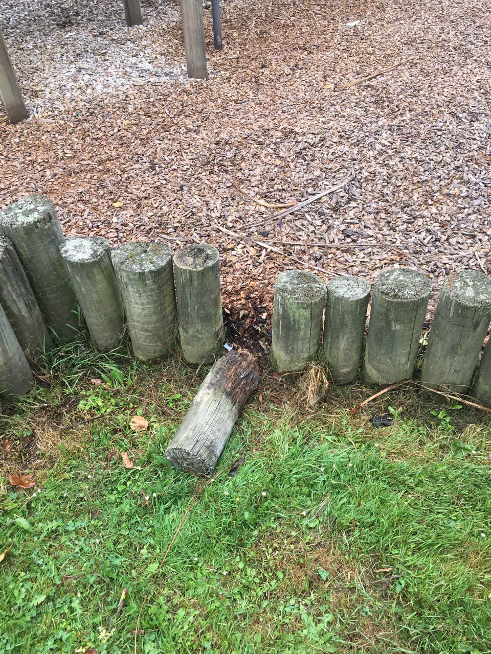 The photograph attached to this parks report