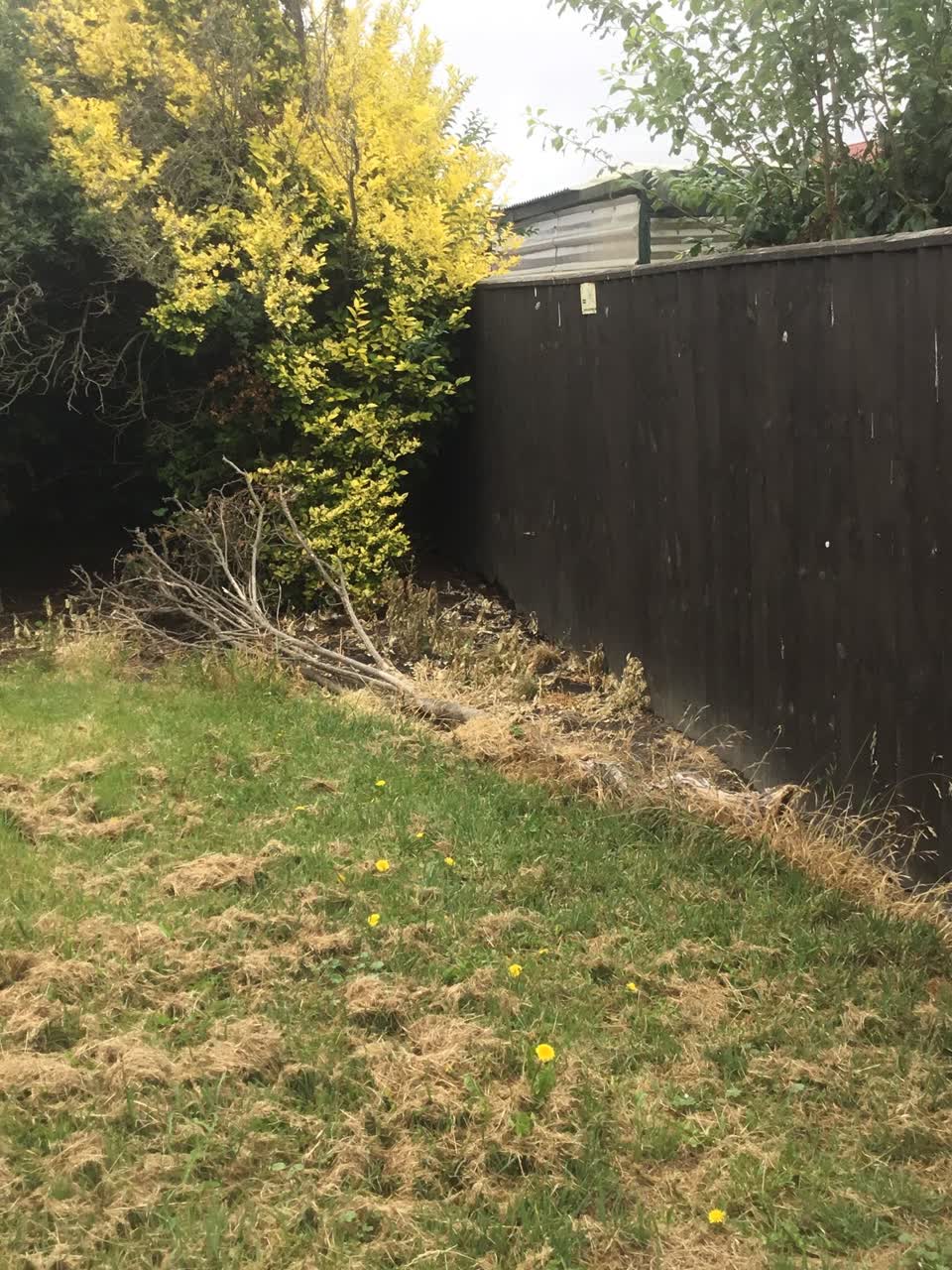 The photograph attached to this parks report