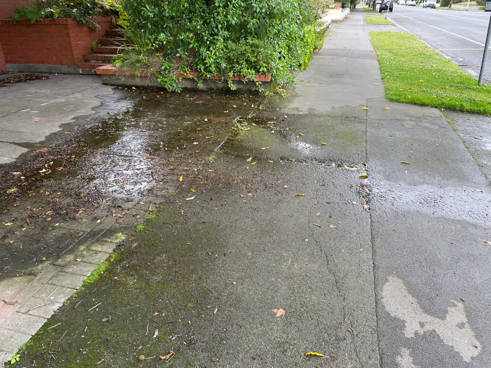 The photograph attached to this water leak report