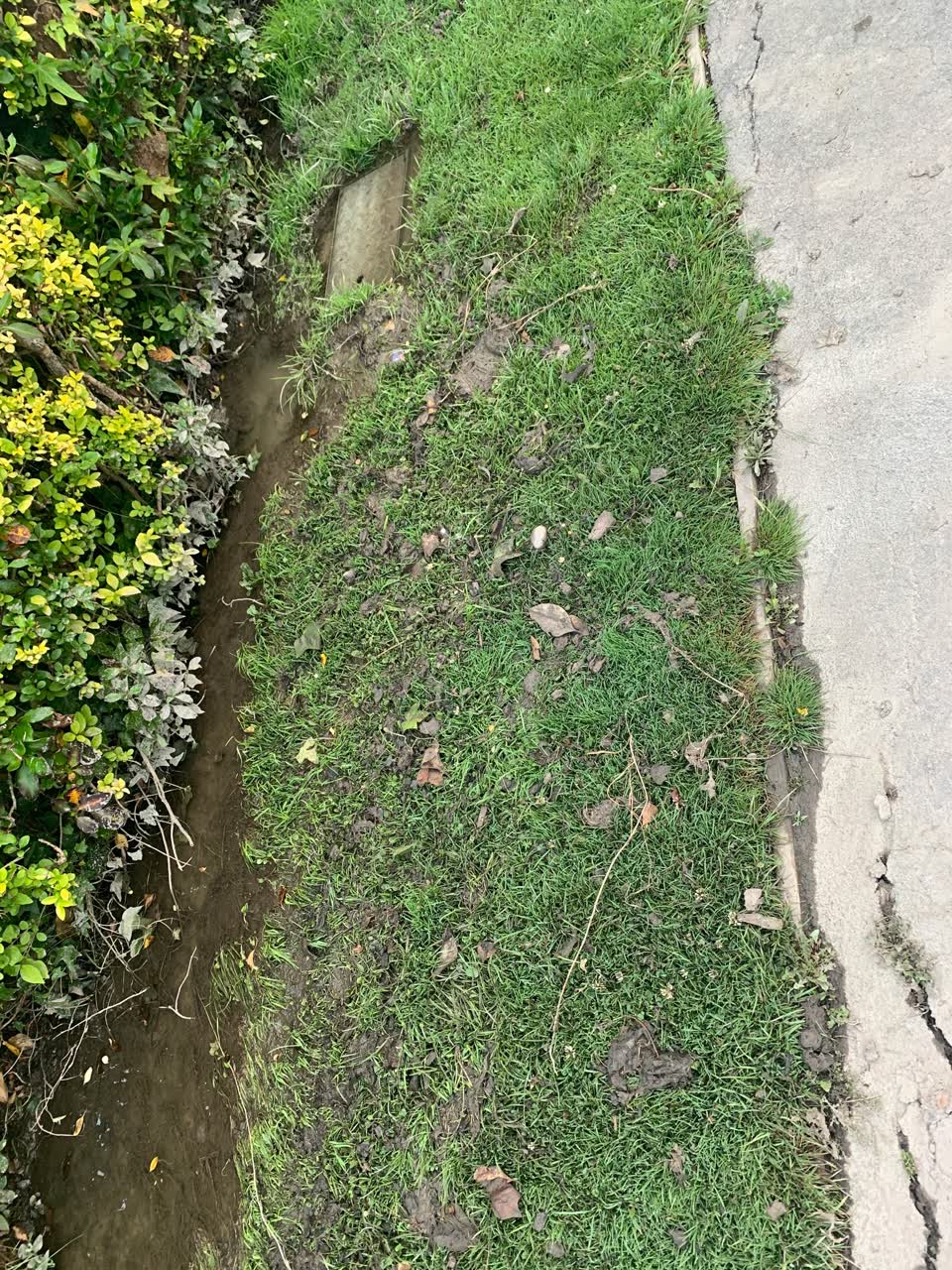 The photograph attached to this water leak report