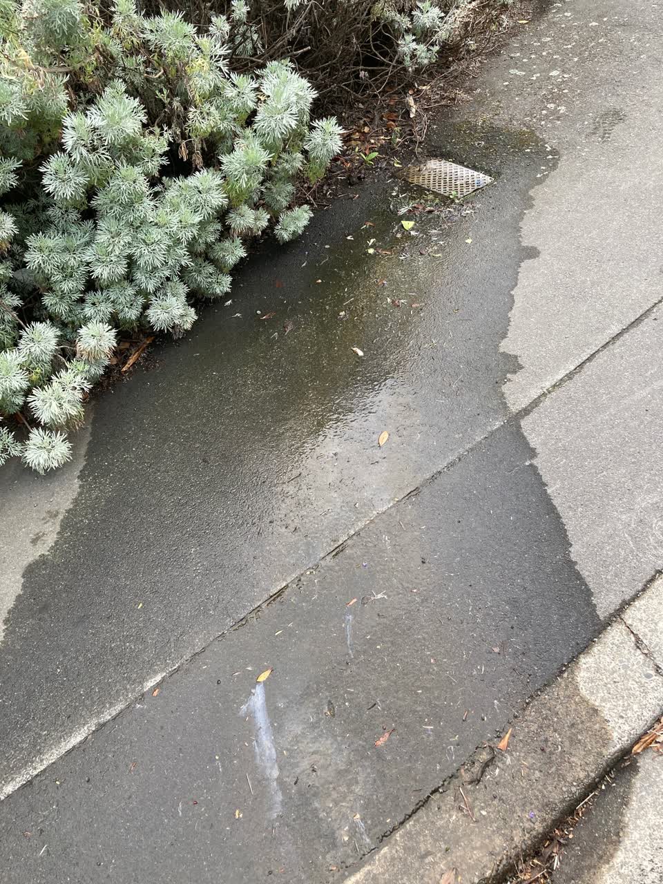The photograph attached to this water leak report
