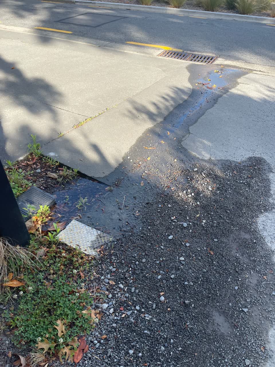 The photograph attached to this water leak report