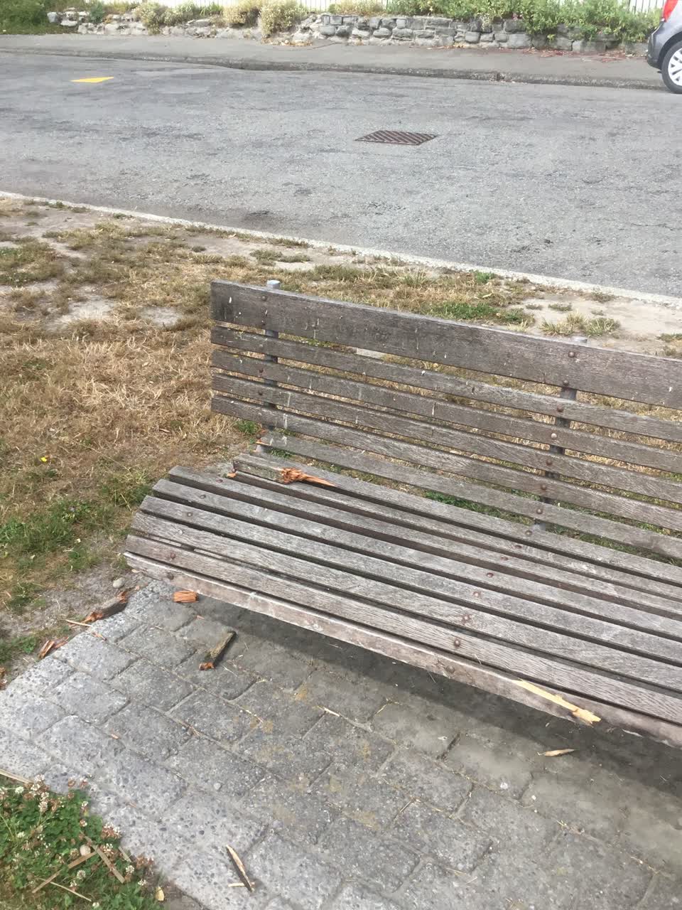 The photograph attached to this parks report