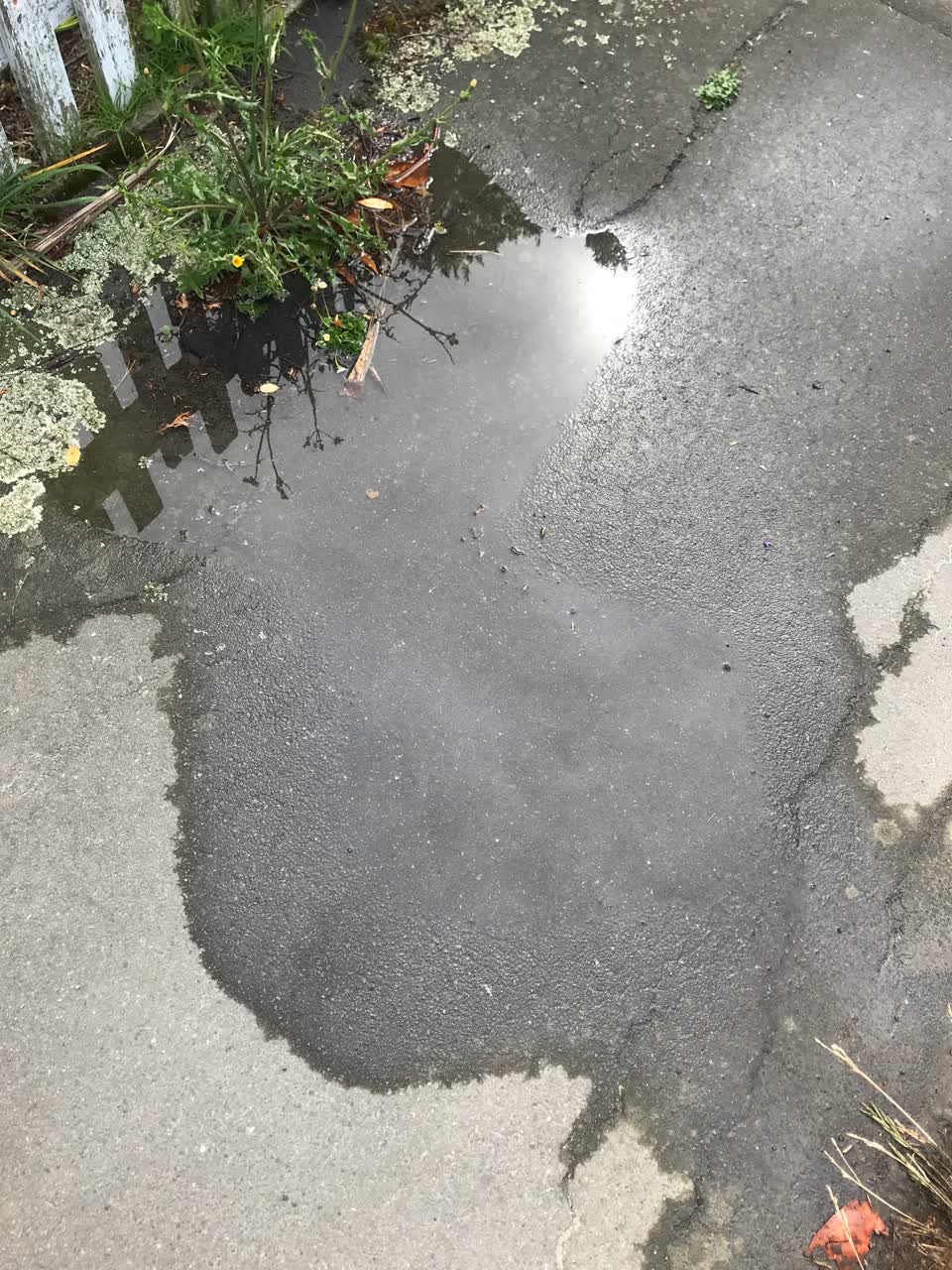 The photograph attached to this water leak report