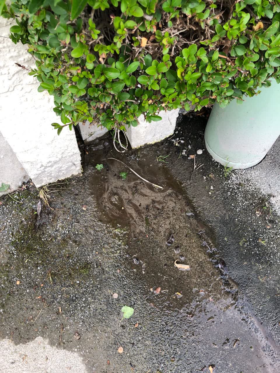 The photograph attached to this water leak report