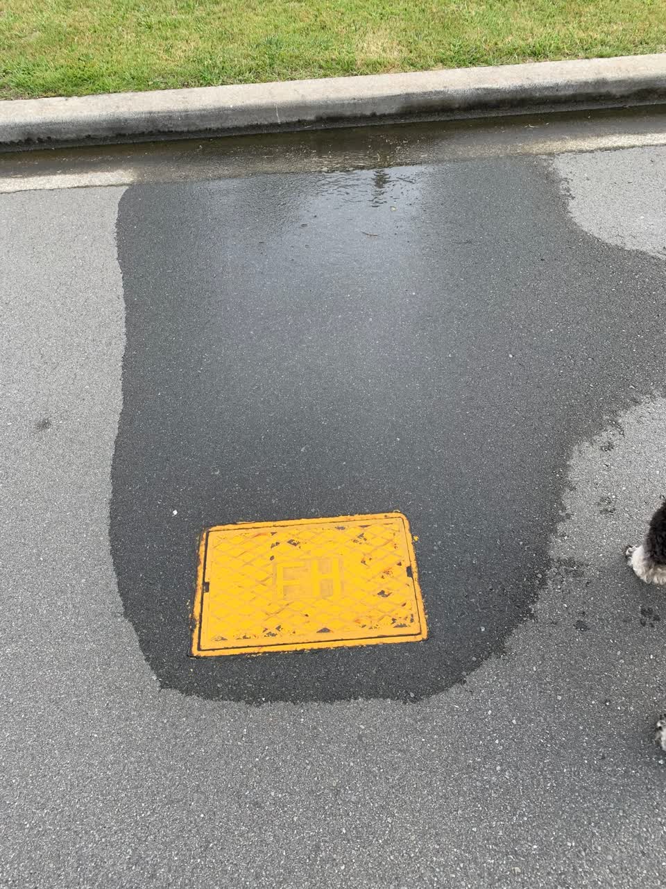 The photograph attached to this water leak report