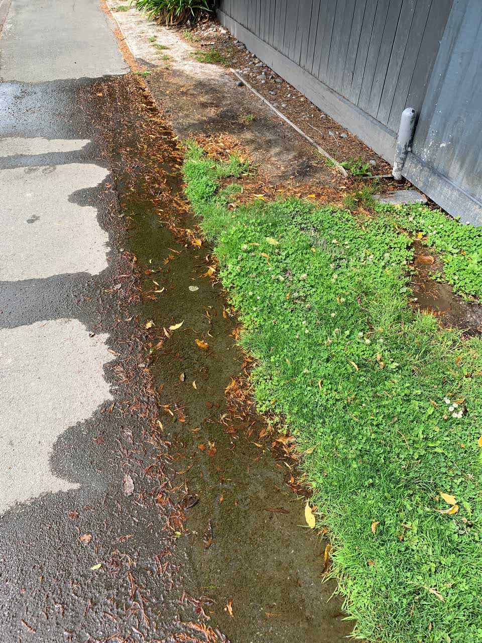 The photograph attached to this water leak report