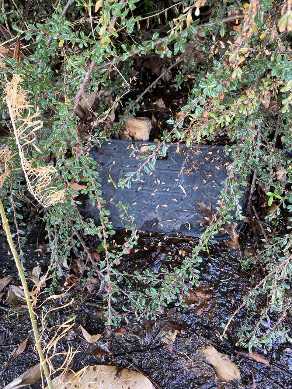The photograph attached to this water leak report
