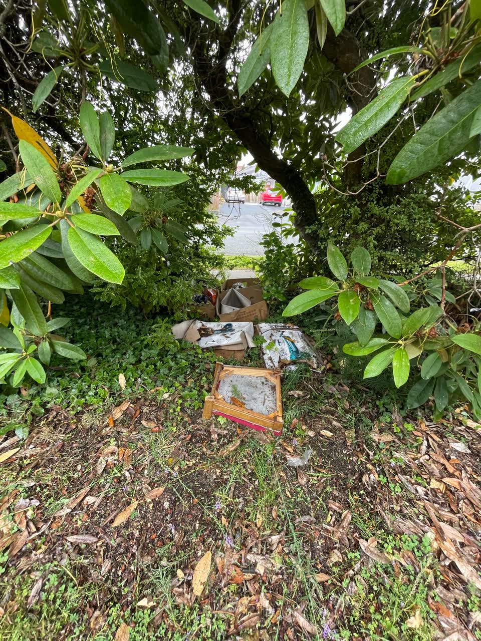 The photograph attached to this rubbish/recycling report