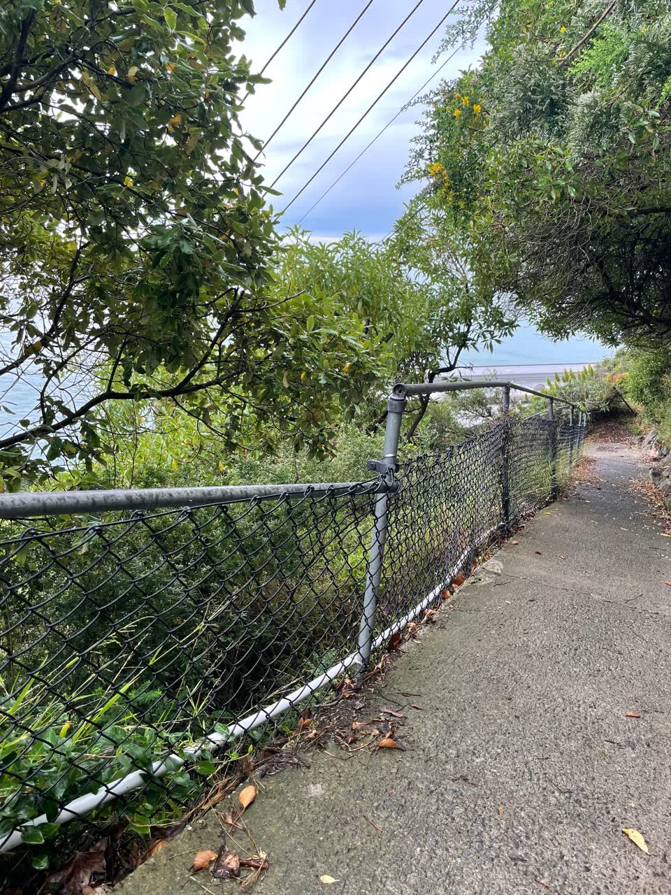 The photograph attached to this parks report