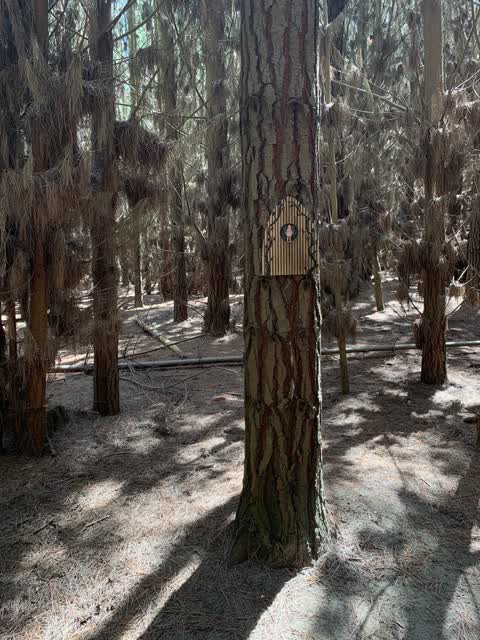 Parks, a report photo