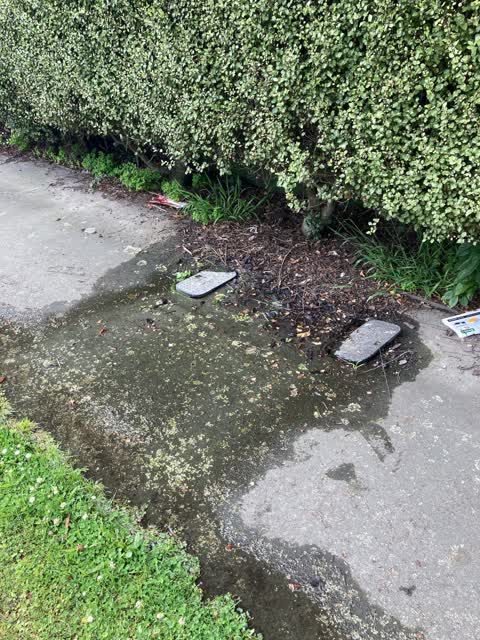 Water Leak, a report photo