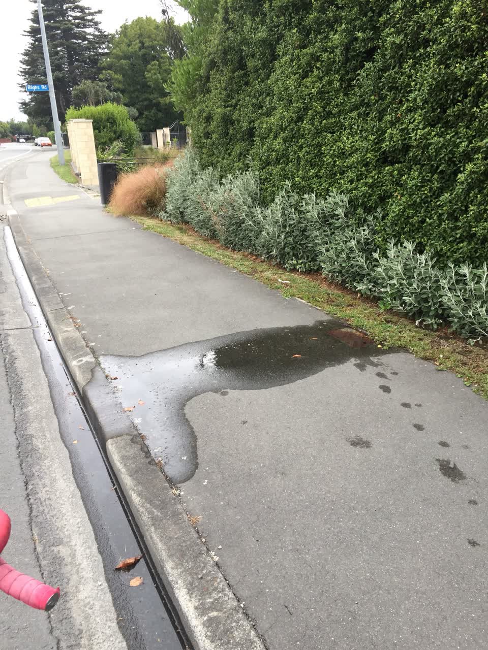 The photograph attached to this water leak report