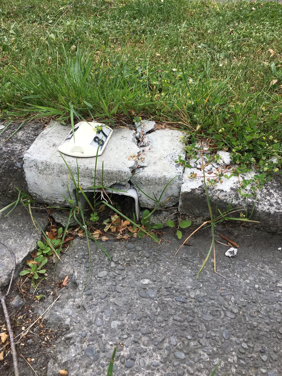 The photograph attached to this roading/streets report