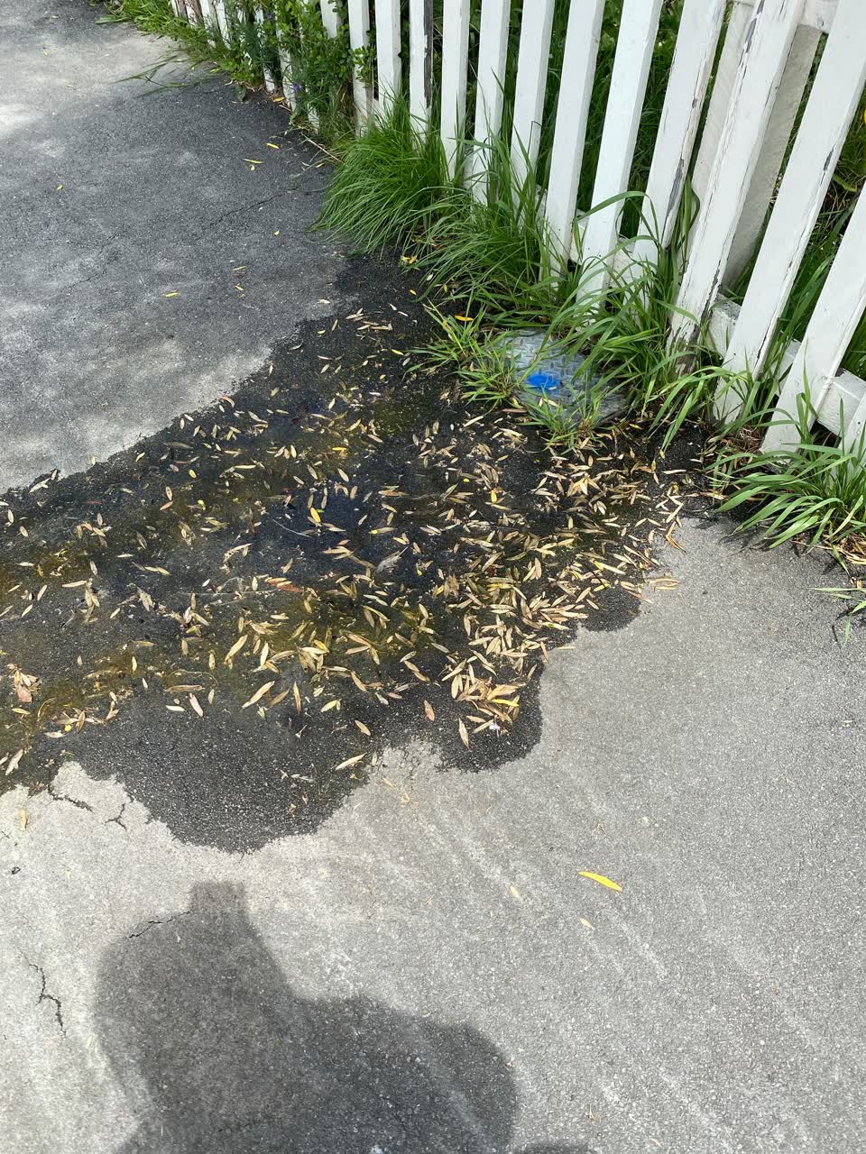 The photograph attached to this water leak report