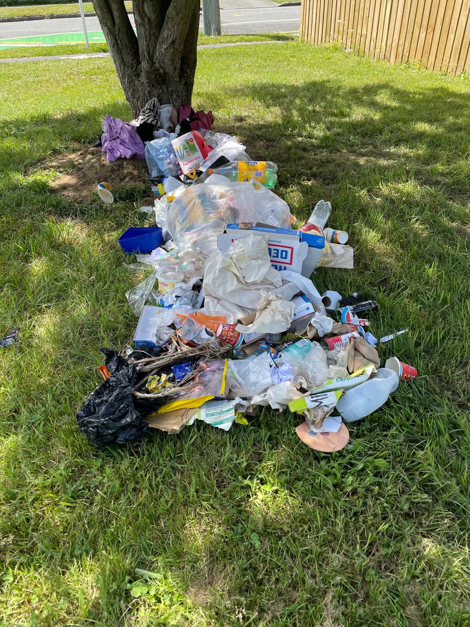 The photograph attached to this rubbish/recycling report
