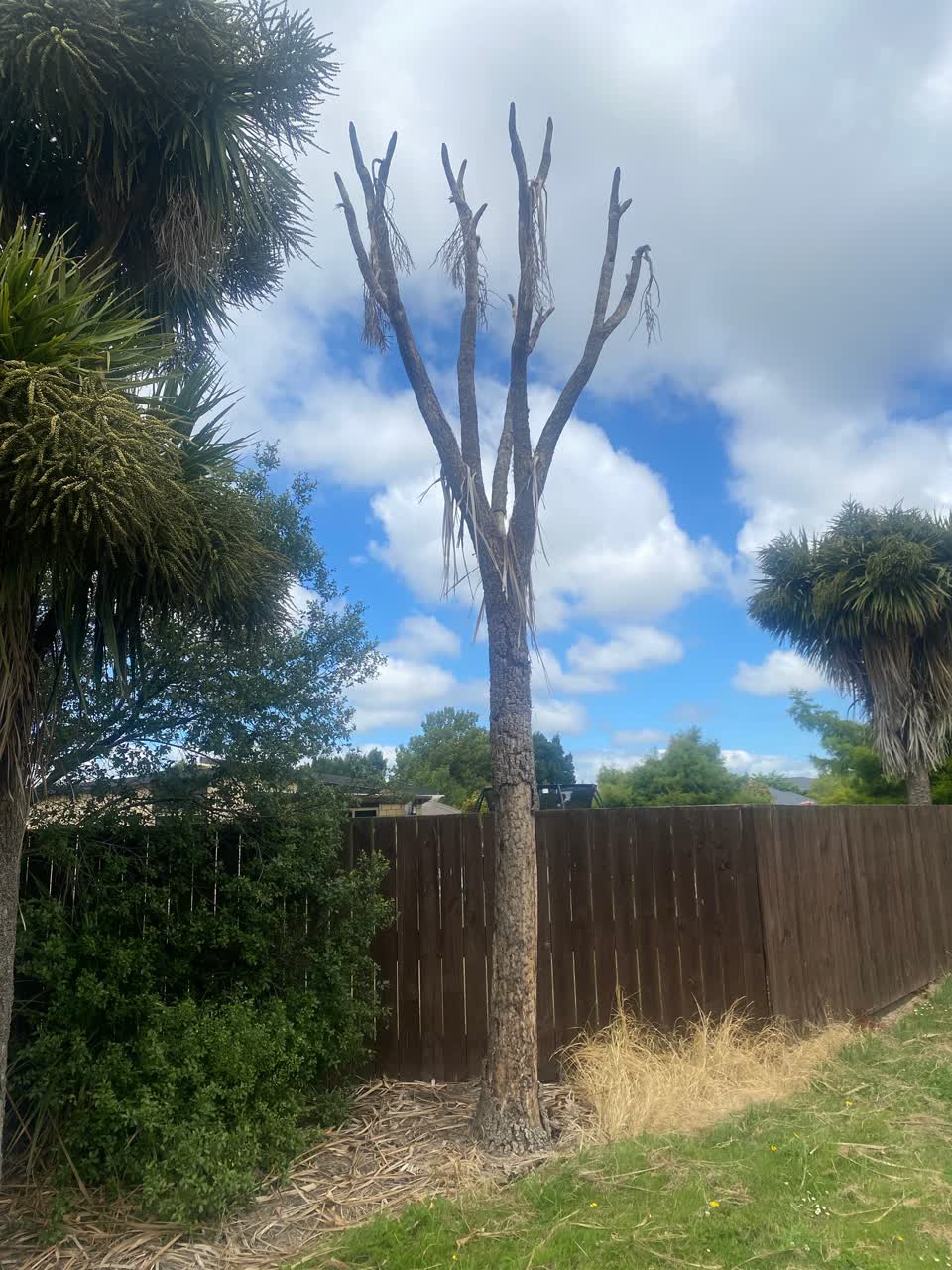 The photograph attached to this parks report