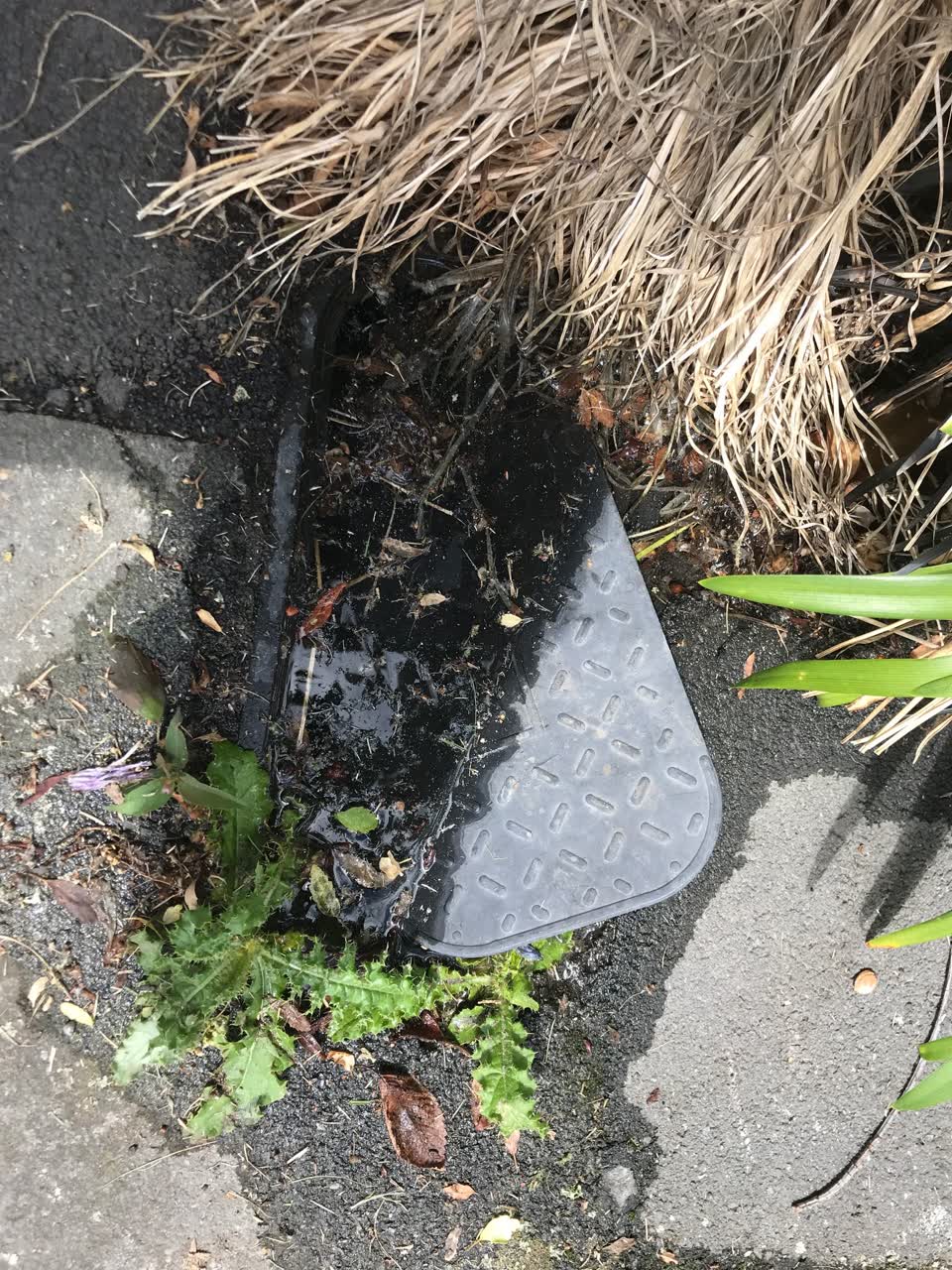 The photograph attached to this water leak report