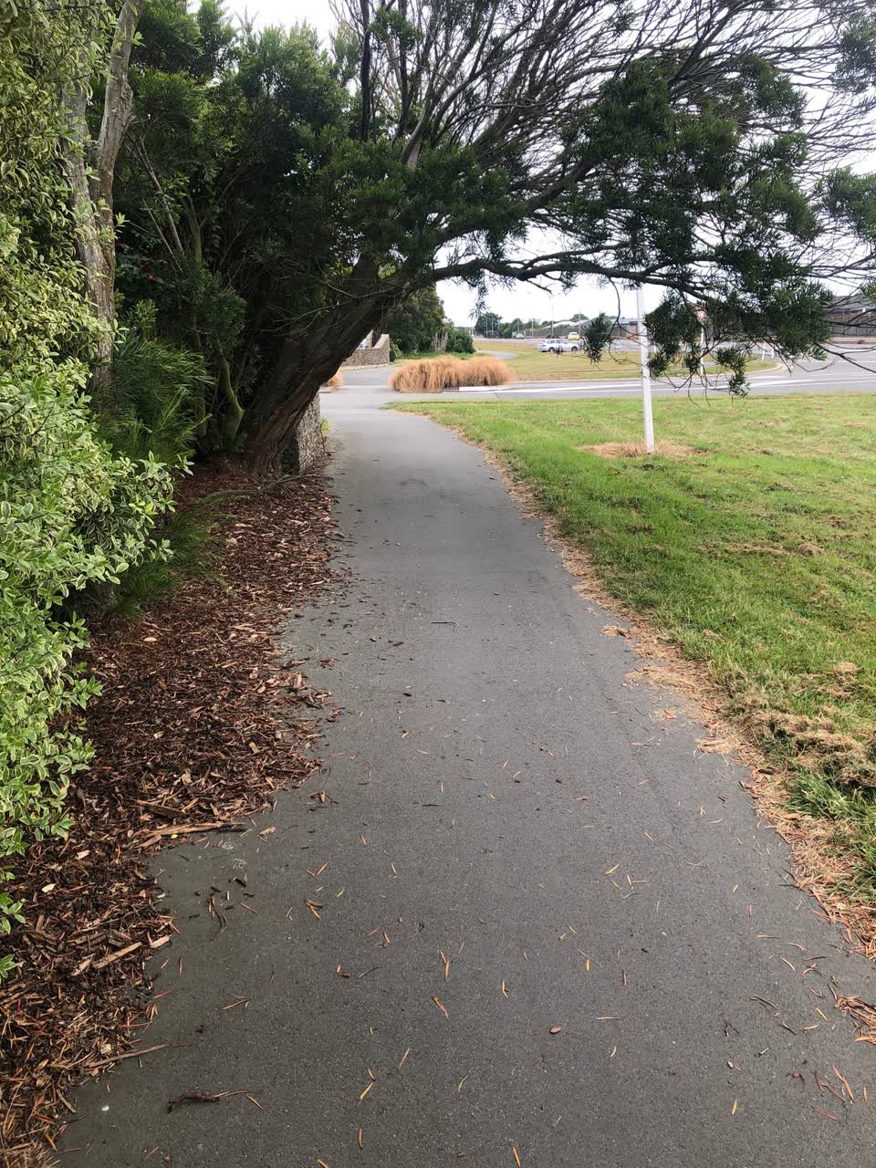 The photograph attached to this parks report