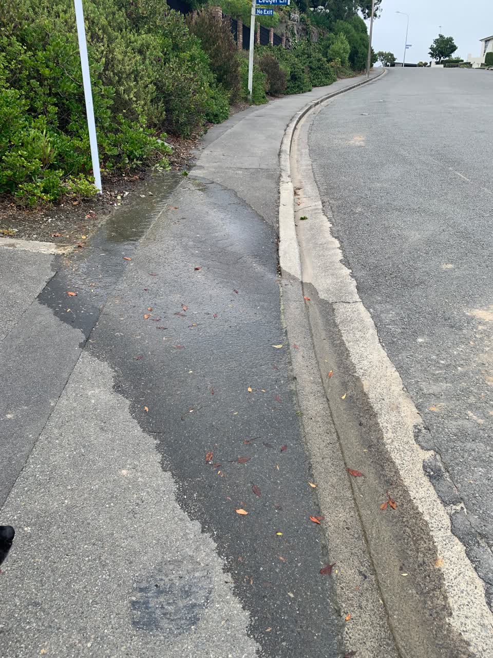 The photograph attached to this water leak report