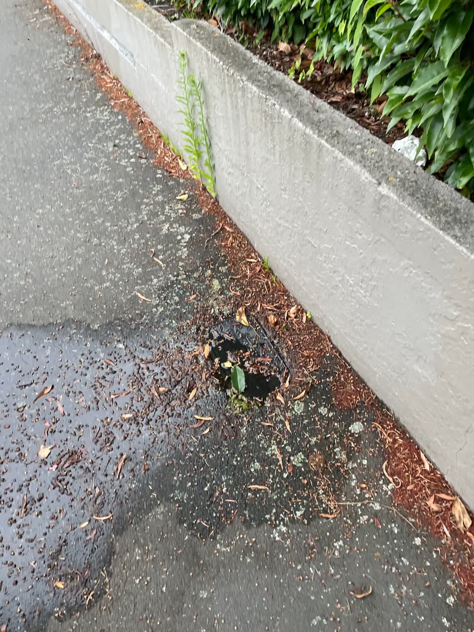 The photograph attached to this water leak report
