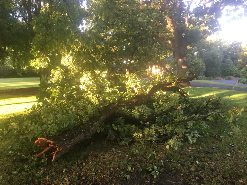 The photograph attached to this parks report