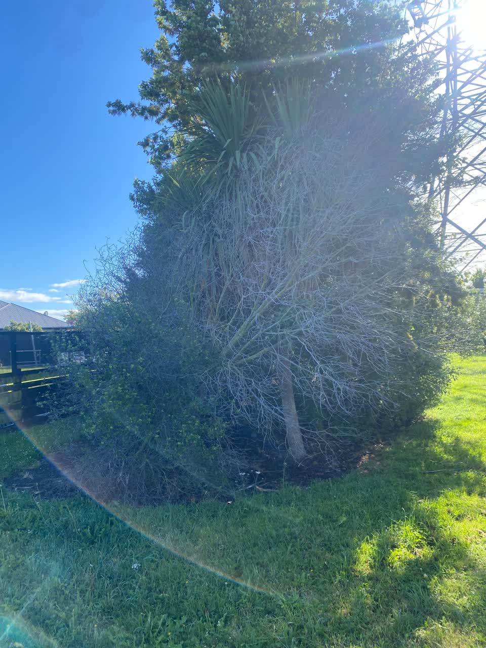 The photograph attached to this parks report