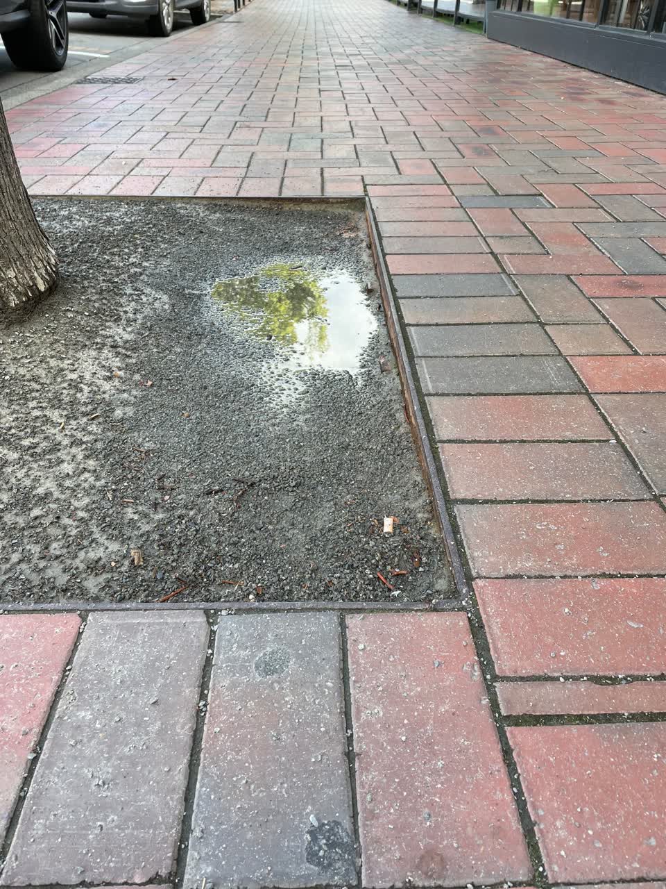 The photograph attached to this roading/streets report