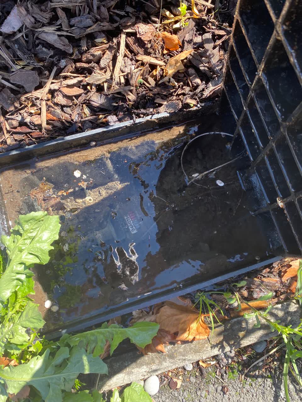 The photograph attached to this water leak report